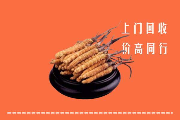 高价求购：衢州回收散虫草