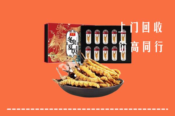 衢州回收虫草